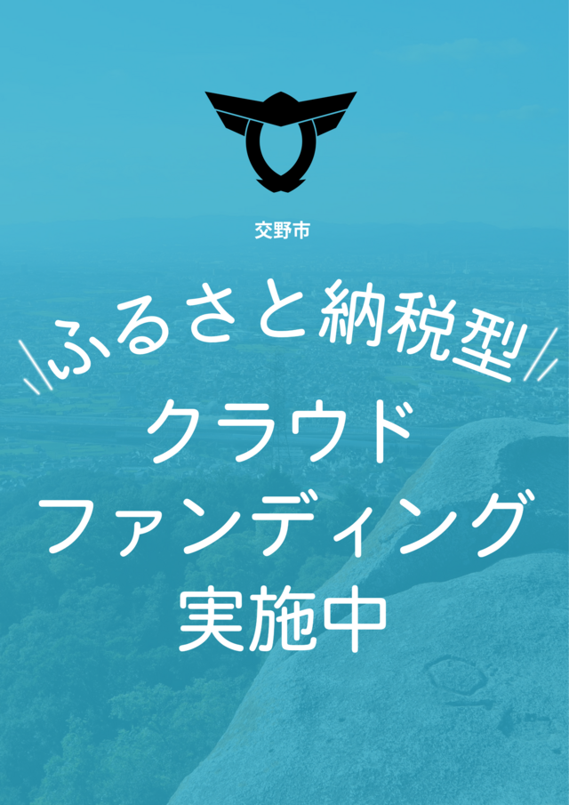 クラファンVT