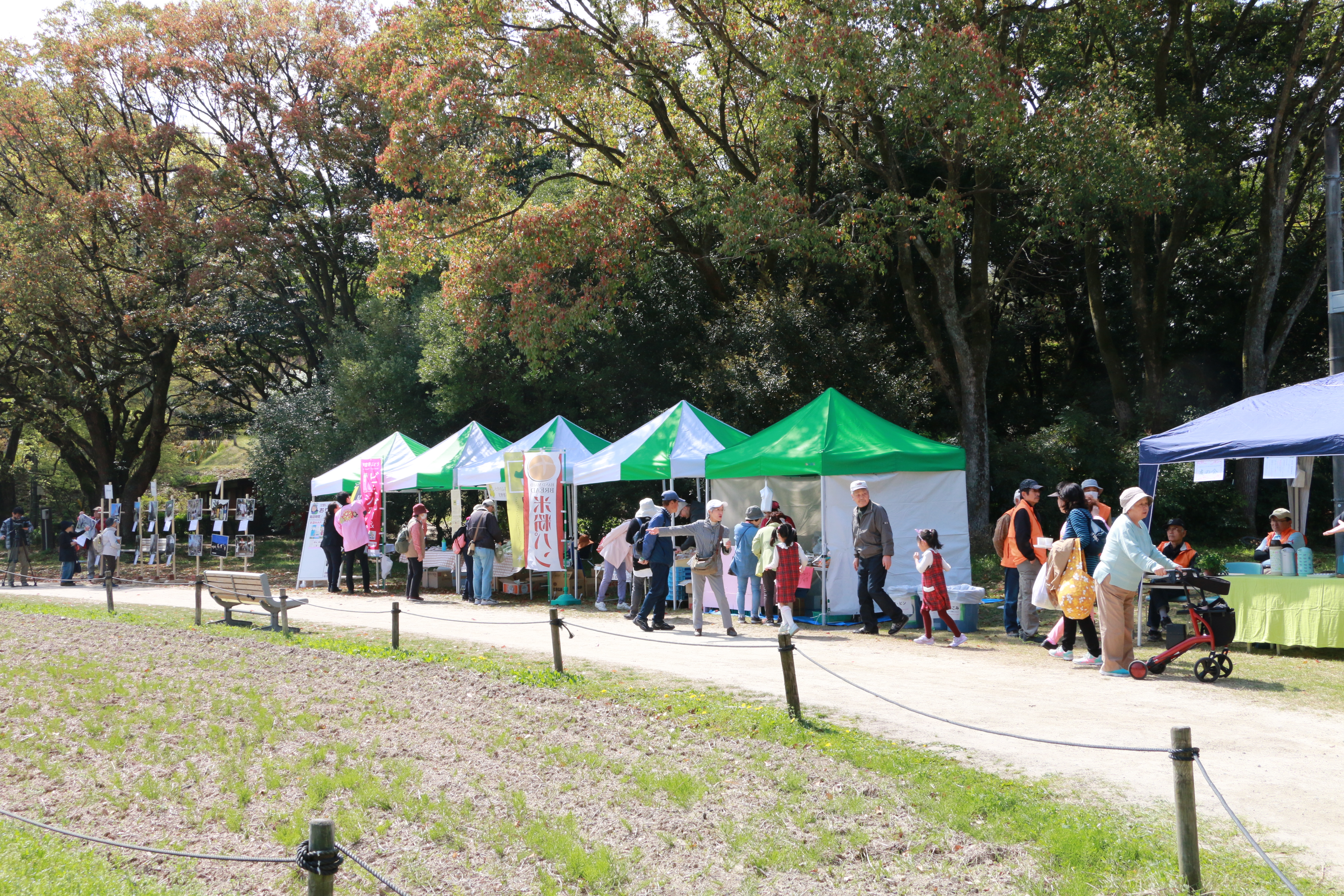 大阪市立大学理学部附属植物園と包括連携協定を締結しました 交野市