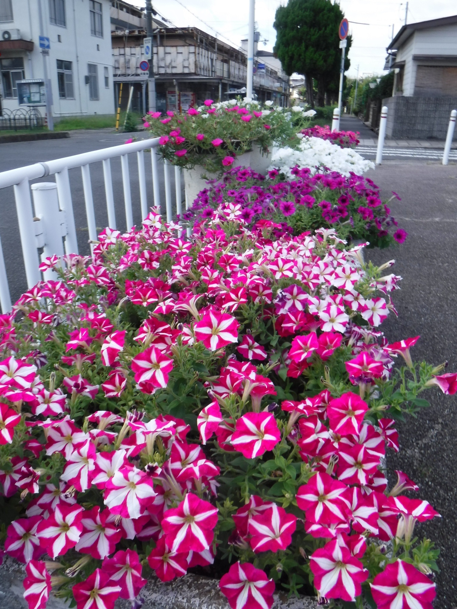 花と緑の会