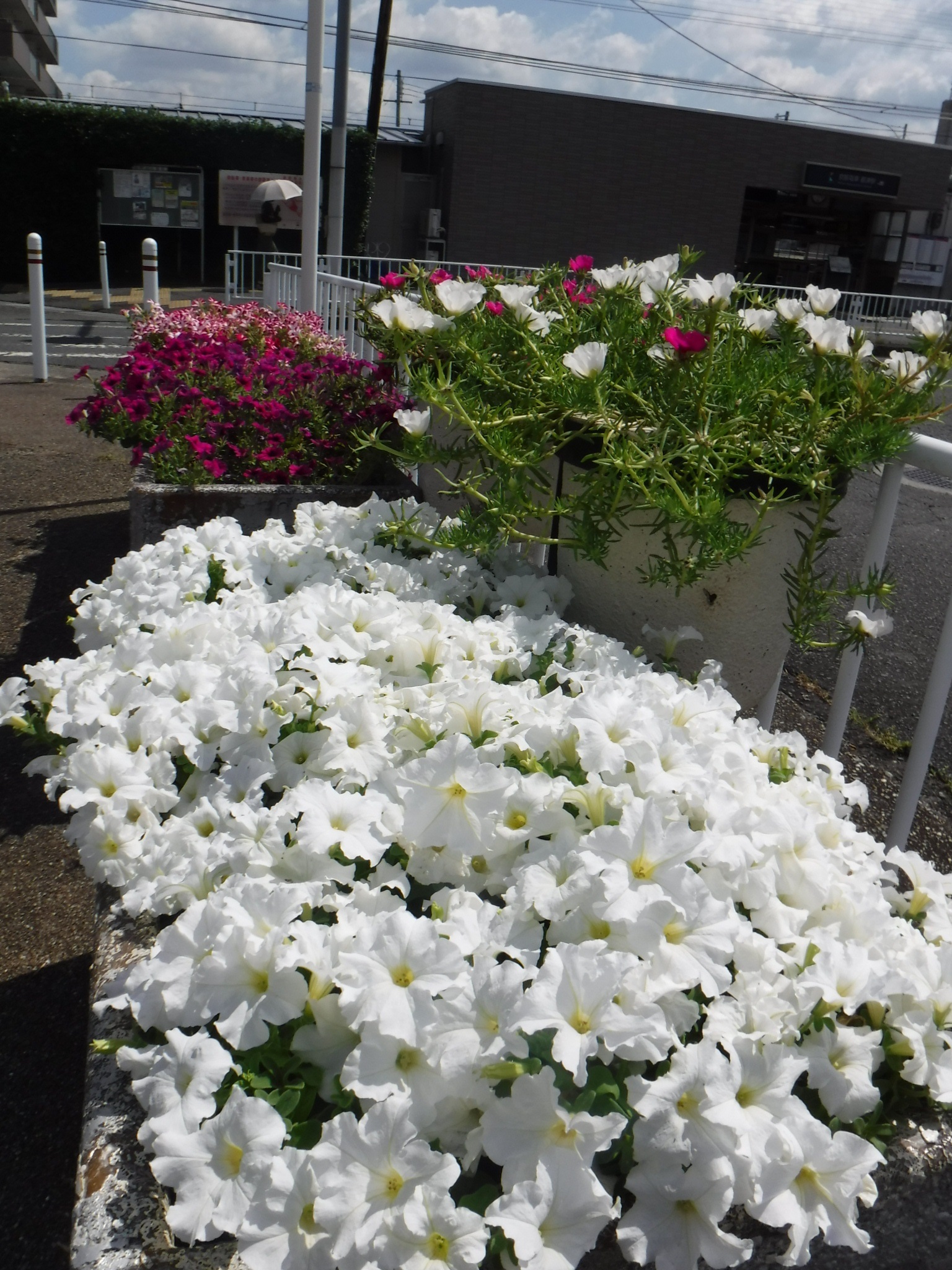 花と緑の会