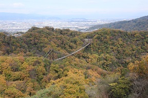 当日のほしだ園地