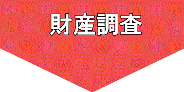 財産調査