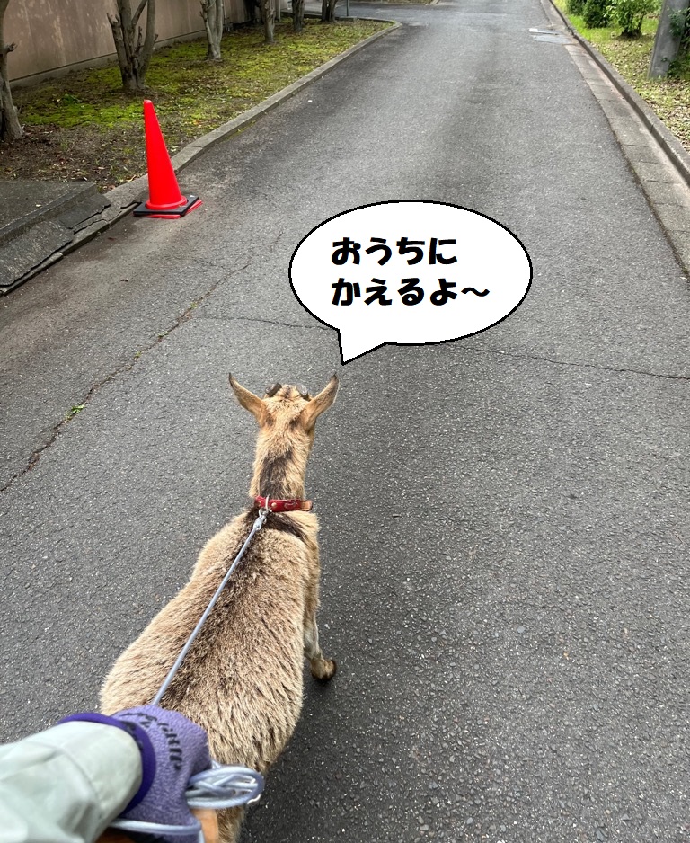 yagiwalk